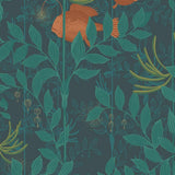 103/4019 - Nautilus