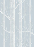 103/5022 - Woods Whimsical