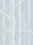 103/5022 - Woods Whimsical