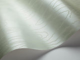 106/1013 - Watered Silk