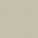 106/2019 - Pebble