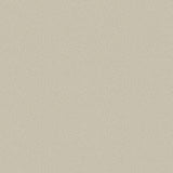 106/2019 - Pebble
