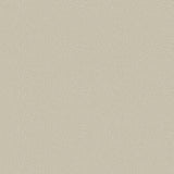106/2019 - Pebble