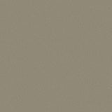 106/2020 - Pebble