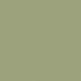 106/2026 - Pebble