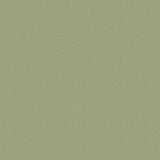 106/2026 - Pebble