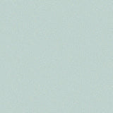 106/2029 - Pebble