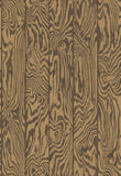 107/1002 - Zebrawood