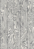 107/1003 - Zebrawood