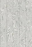107/1004 - Zebrawood