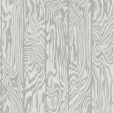 107/1004 - Zebrawood