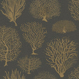 107/2006 - Seafern