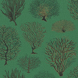 107/2007 - Seafern