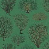 107/2007 - Seafern