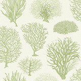 107/2008 - Seafern