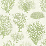 107/2008 - Seafern