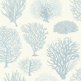 107/2009 - Seafern