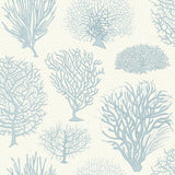 107/2009 - Seafern
