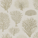 107/2010 - Seafern