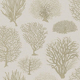 107/2010 - Seafern