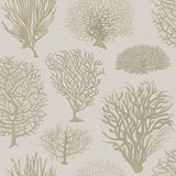 107/2010 - Seafern