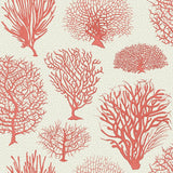 107/2011 - Seafern