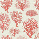 107/2011 - Seafern