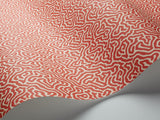 107/4018 - Vermicelli