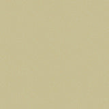 107/9041 - Goldstone