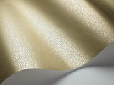 107/9041 - Goldstone