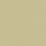 107/9041 - Goldstone