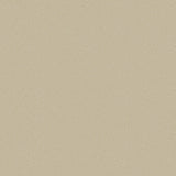 107/9042 - Goldstone