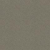 107/9043 - Goldstone
