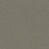 107/9043 - Goldstone