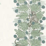 109/11052 - Acacia