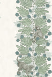 109/11052 - Acacia