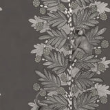 109/11055 - Acacia