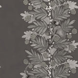 109/11055 - Acacia