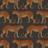 109/2008 - Leopard Walk