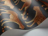 109/2008 - Leopard Walk