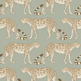 109/2009 - Leopard Walk