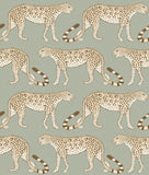 109/2009 - Leopard Walk