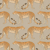 109/2010 - Leopard Walk
