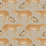 109/2010 - Leopard Walk