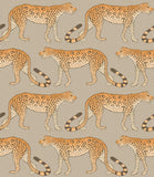 109/2010 - Leopard Walk