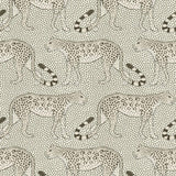 109/2011 - Leopard Walk