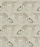 109/2011 - Leopard Walk