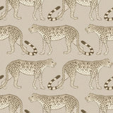 109/2012 - Leopard Walk