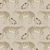 109/2012 - Leopard Walk