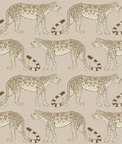 109/2012 - Leopard Walk